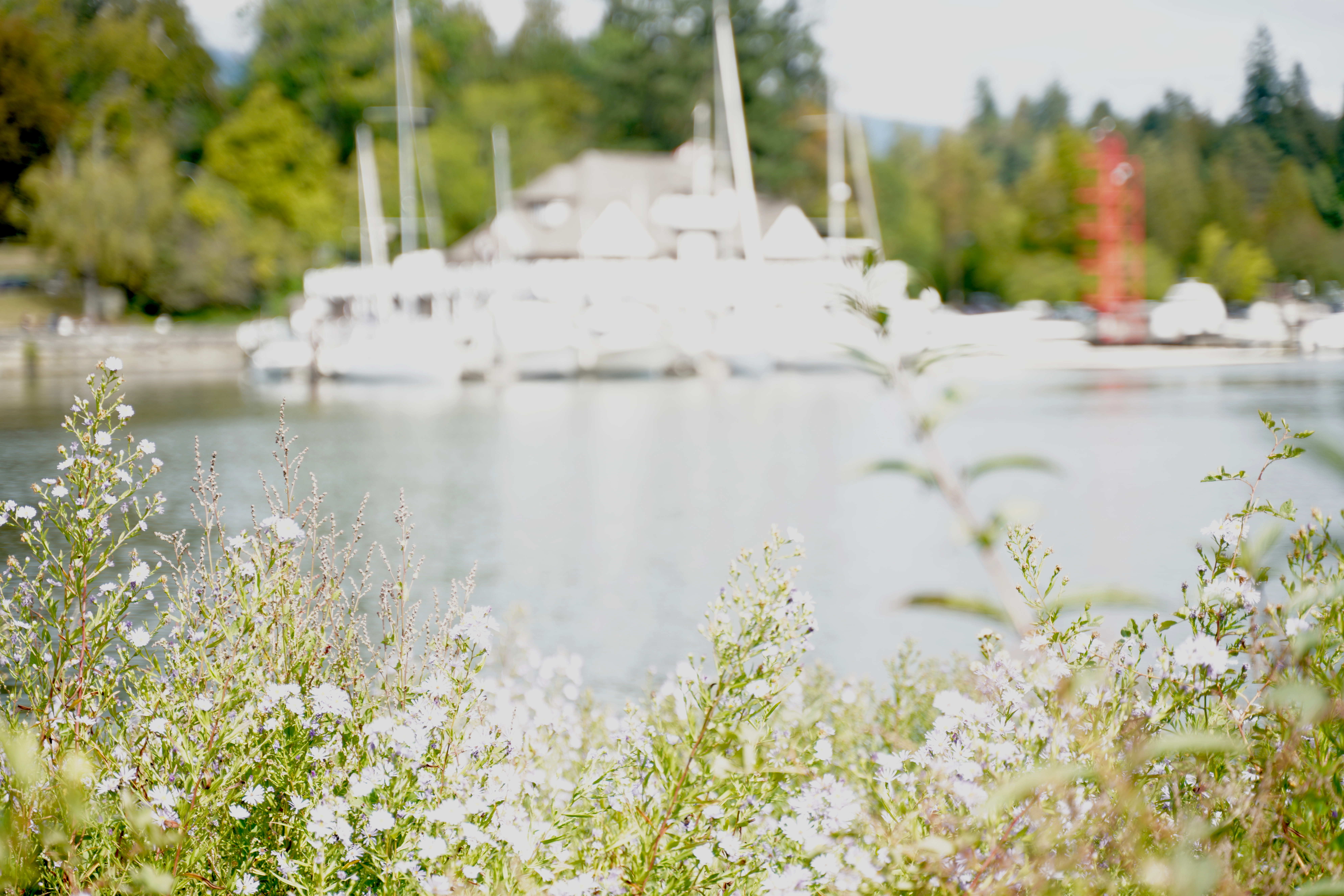 Hero image CHANGE ME